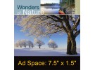 Desk Calendar DC21